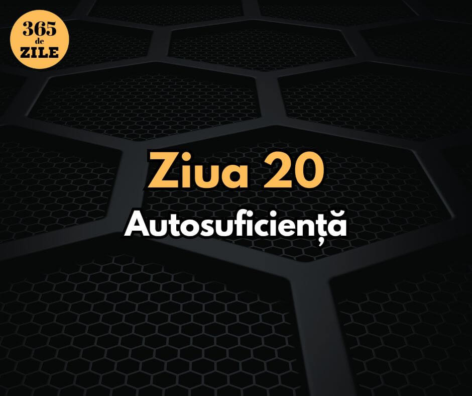 Autosuficiență: Puterea de a te baza pe tine însuți